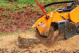 Best Organic Lawn Care Solutions  in Newark, CA